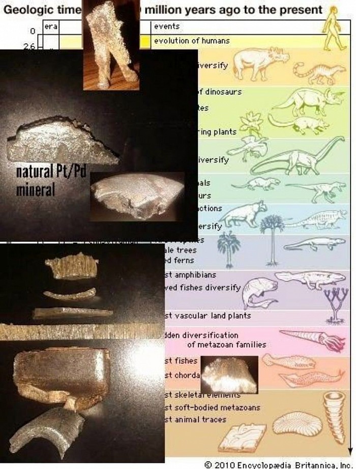 My collection of raw precious minerals(149oz) mapped by Pourrioscope. A geologic time scale. Featured are isoferroplatinum, palladium, rhodium and gold