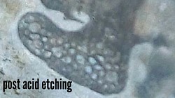 Etching meteorite with nitric acid