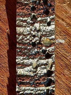 Fe-Ni meteorite with olivine crystal