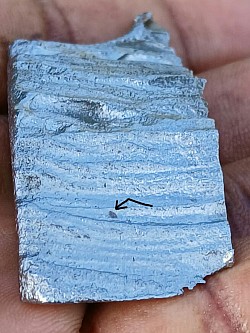 Olivine crystal embedded in Fe-Ni meteorite post concentrated acid etching bath